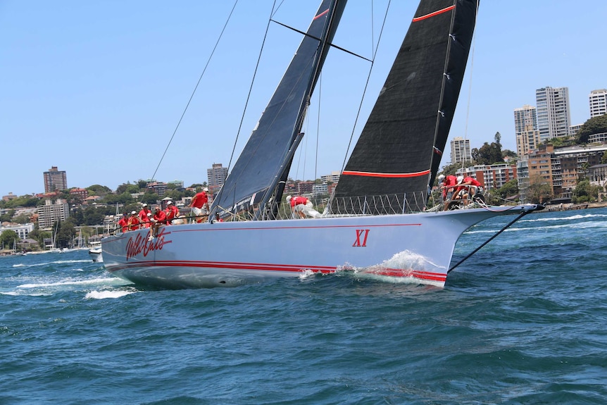 Wild Oats XI sailing on Sydney Harbour.
