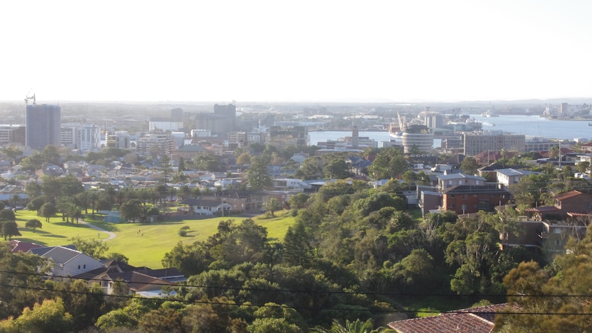 Houses and green space seen from a lookout.