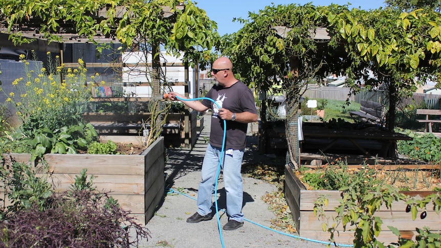 Father support worker watering the Taree Community Garden