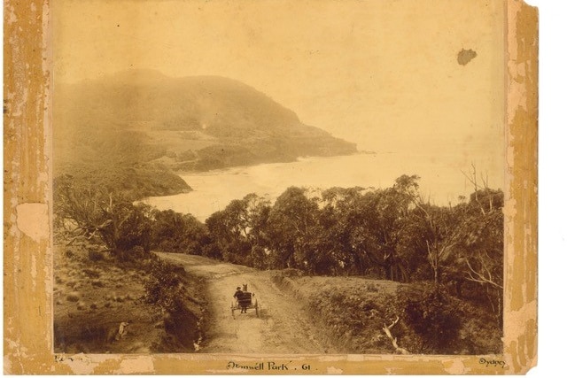 A black and white photo of a horse and cart travelling north on a dirt road with Stanwell Tops in the background.