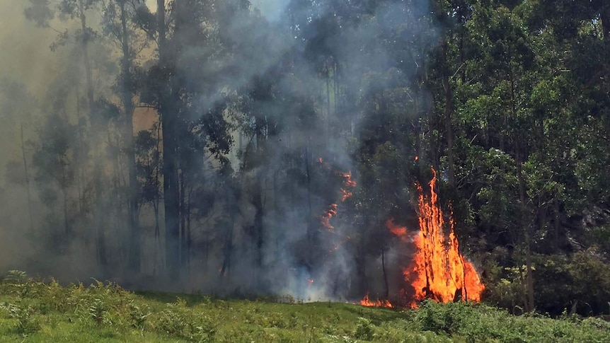 Bush burns at Geeveston in Tasmania