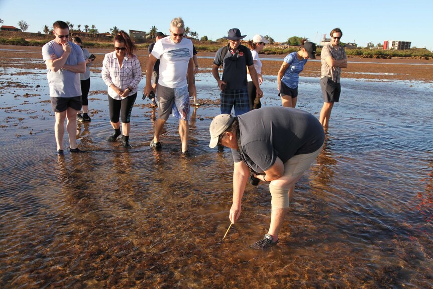 A group of people stand ankle deep in water, looking down around them, with one person bending down to poke under the surface.