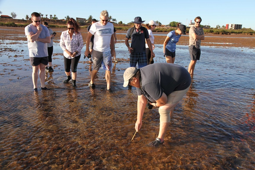 A group of people standing in ankle-deep water of a shallow reef inspecting the life underwater.