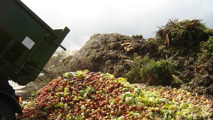 You view the sihoulette of a bin being tipped beside a field of dumped food and vegetables. 