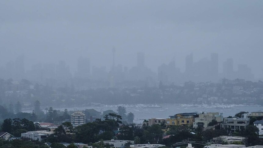 The view of Sydney Harbour from Dover Heights during heavy rain and winds on Monday.