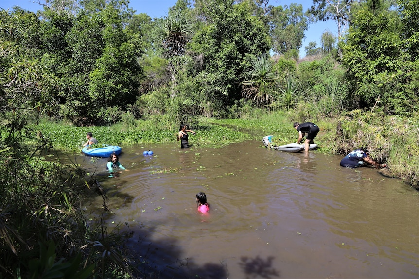 A family swims in a creek and removes weeds on plastic floating boats.