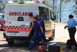 Shark attack at Mollymook