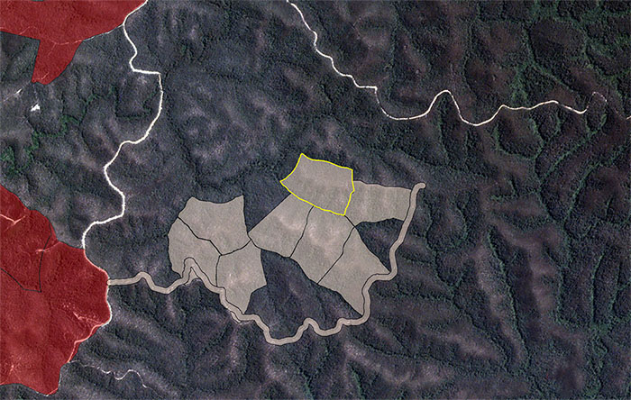 Satellite image showing planned logging outside allocation area near Helter Skelter coupe