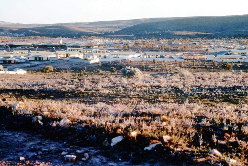 A large number of white houses on scrublands.