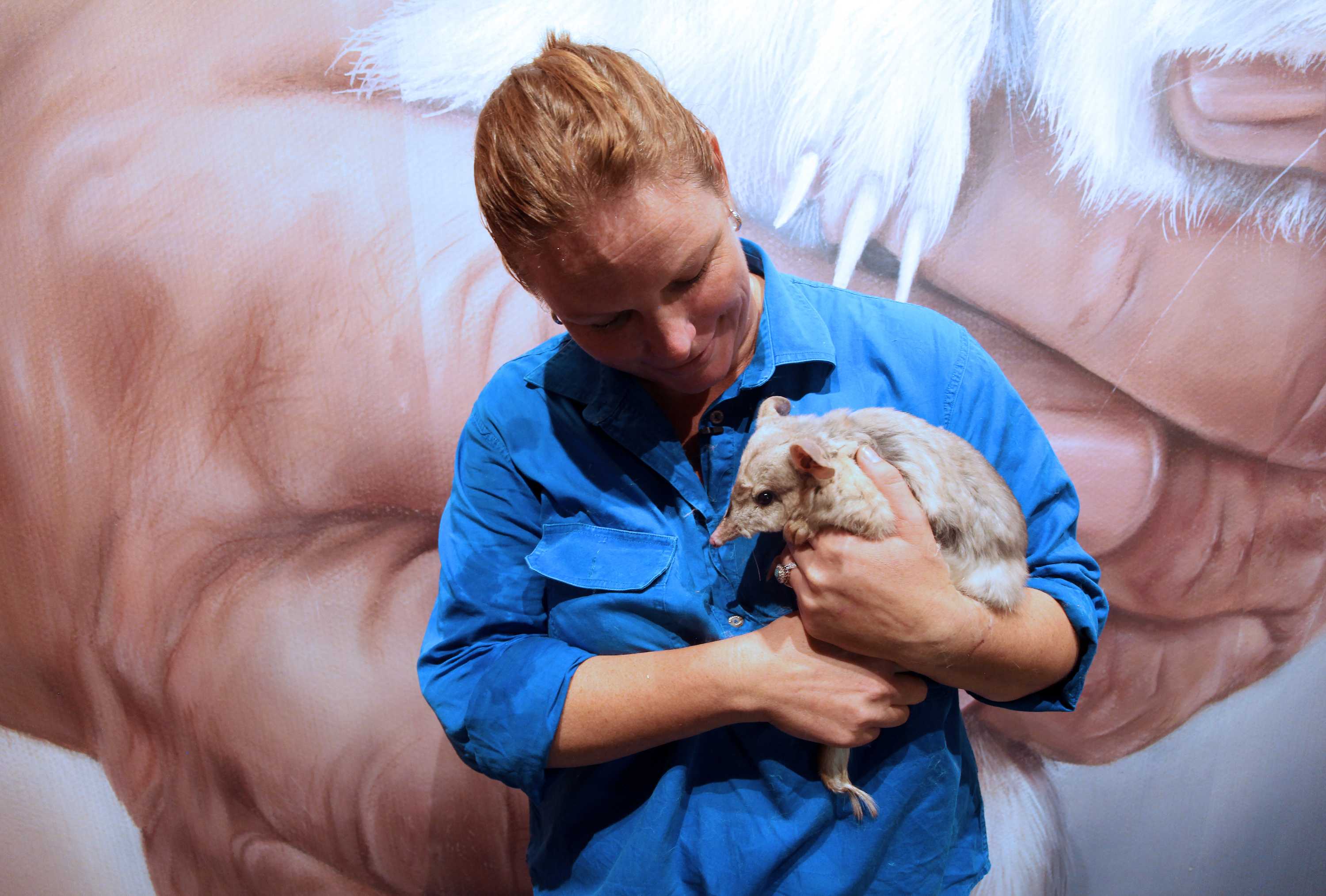 A woman cradles a bilby in her arms