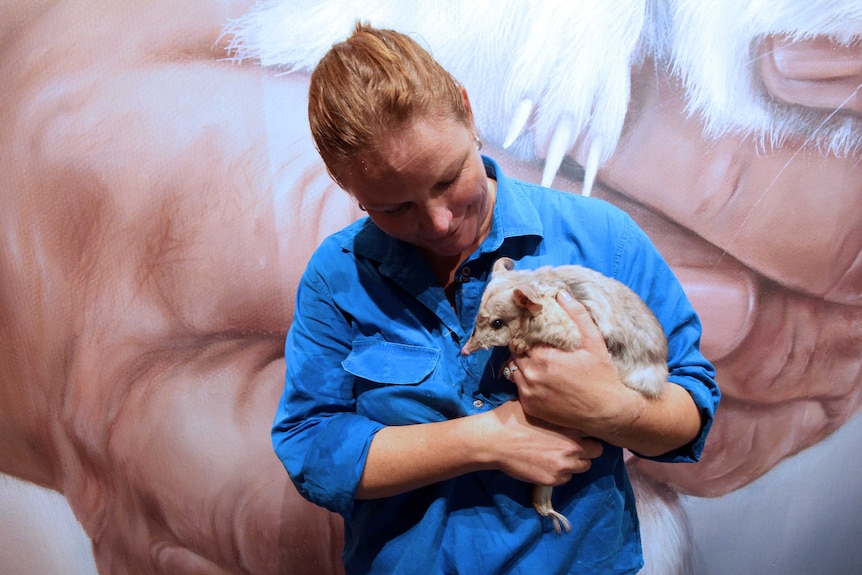 A woman cradles a bilby in her arms