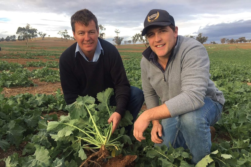 Two people holding crops while digging up dirt with biosolid material in it.