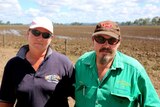 Tracey and Jason Larsen stand in front of one of their ruined mungbean crops on their 1,500 acre property at Monto