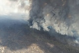 Smoke billows from a densely wooded forest as seen from a plane flying above 