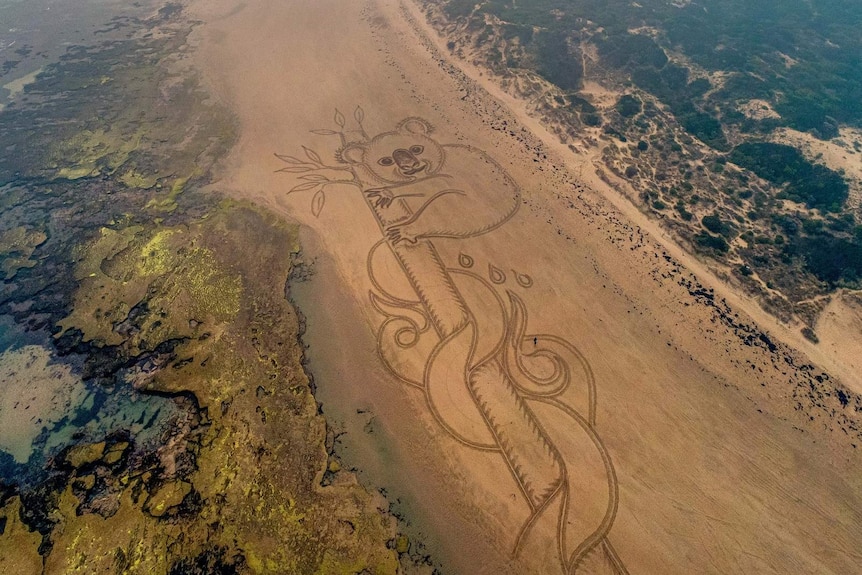 A photo from a drone of a koala drawn in the sand on the beach with a smokey sky