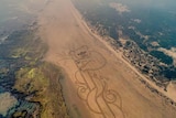 A photo from a drone of a koala drawn in the sand on the beach with a smokey sky