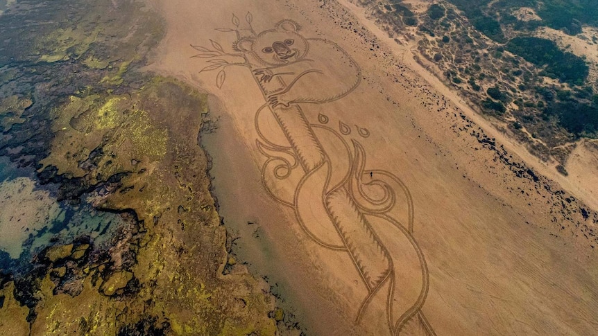 A photo from a drone of a koala drawn in the sand on the beach with a smokey sky