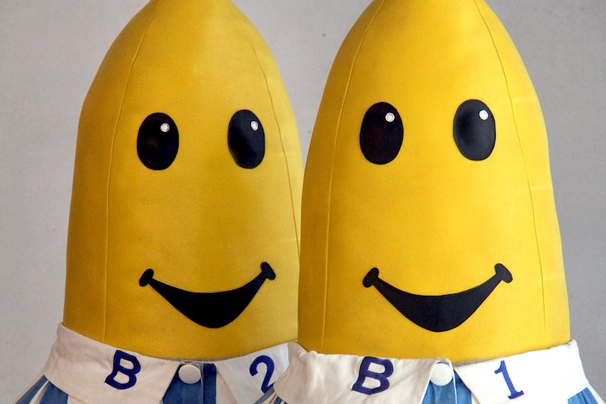LtoR B2 and B1, the Bananas in Pyjamas.