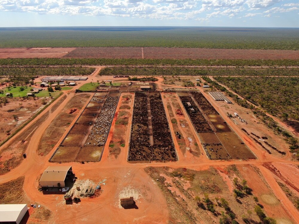 Traditional owners in Kimberley look to agriculture to drive economic
