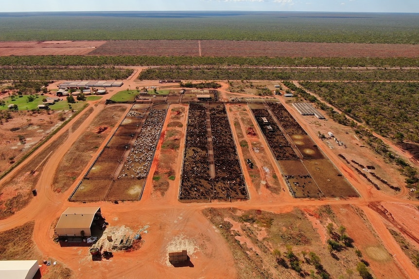 An aerial photo of the station