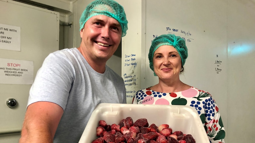 A smiling couple wearing hair nets hold up a tub of frozen strawberries.