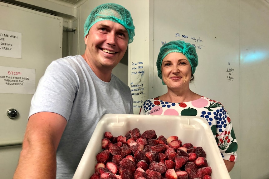 A smiling couple wearing hair nets hold up a tub of frozen strawberries.