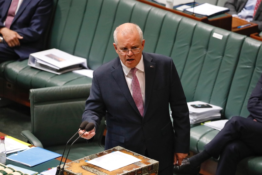 Morrison, in a pink tie, talks at the dispatch box in parliament