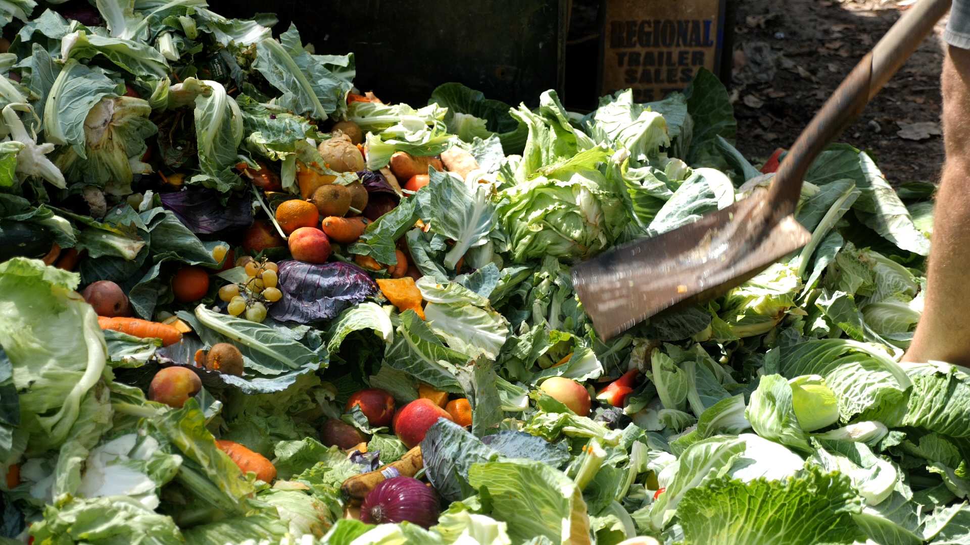 A pile of fruits and vegetables on the ground with a shovel visible in the foreground.