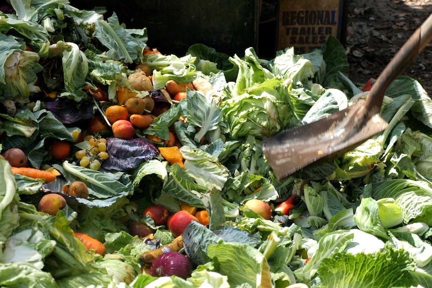 A pile of fruits and vegetables on the ground with a shovel visible in the foreground.