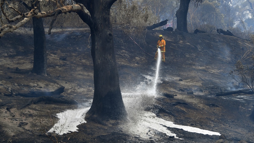 A CFA firefighter is seen after a fire impacted Clovemont Way, Bundoora in Melbourne.