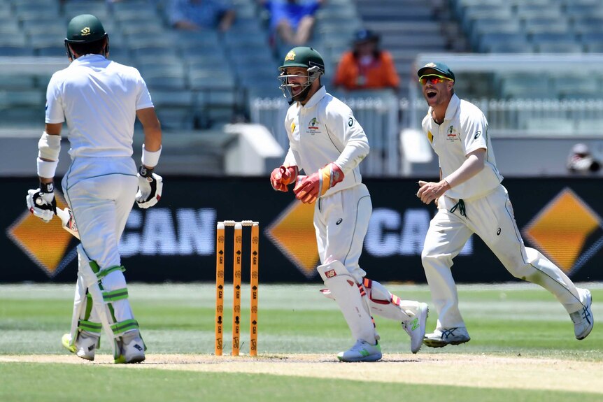 Australia's Matthew Wade and David Warner celebrate the wicket of Pakistan's Misbah-ul-Haq