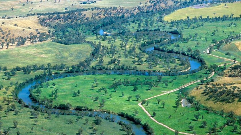 Aerial view of the Murrumbidgee River