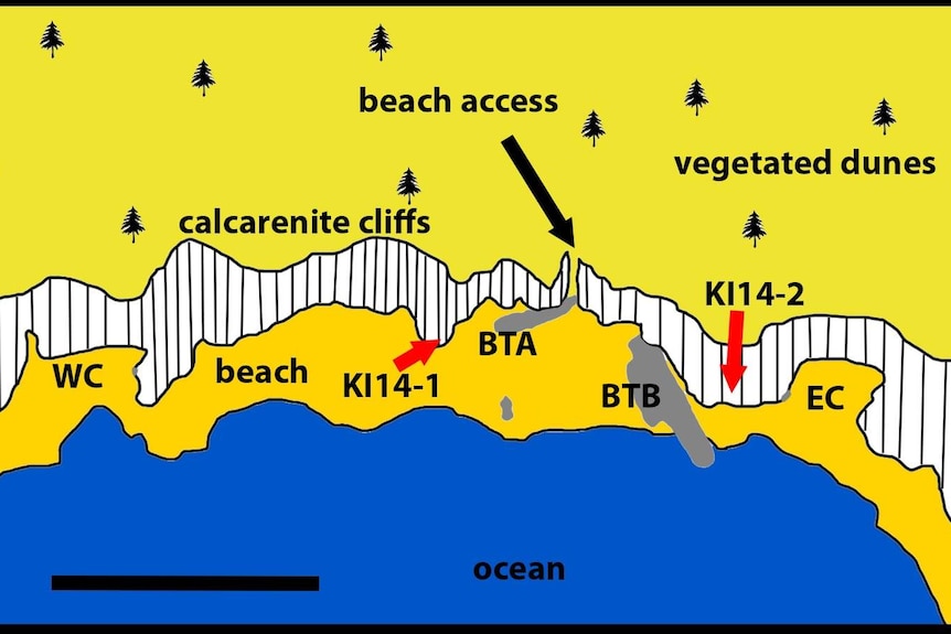 Map of beach, coastline and fossil sites.