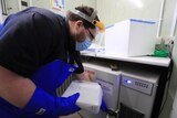 A technician in protective gear prepares to store the first delivery of COVID-19 vaccine