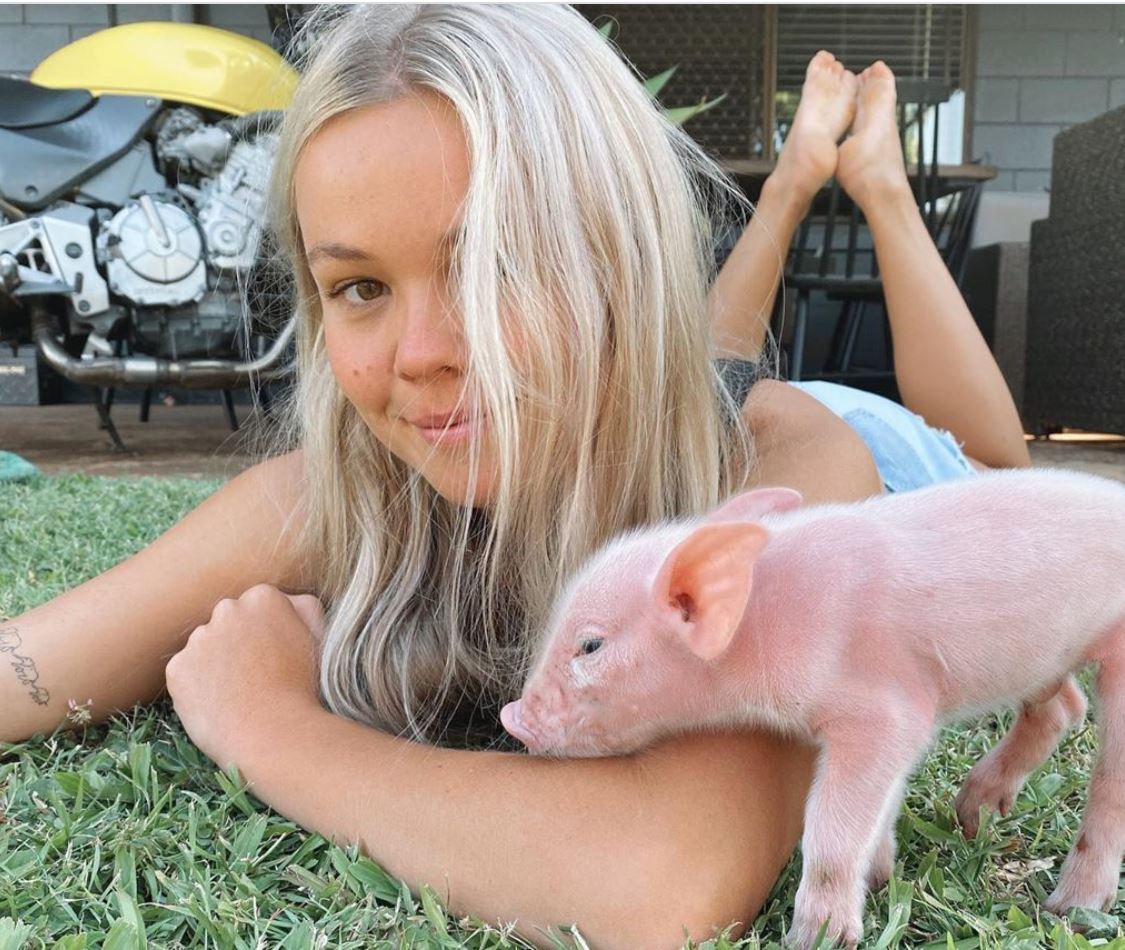 Vegan activist ordered to pay compensation for stealing piglets from ...