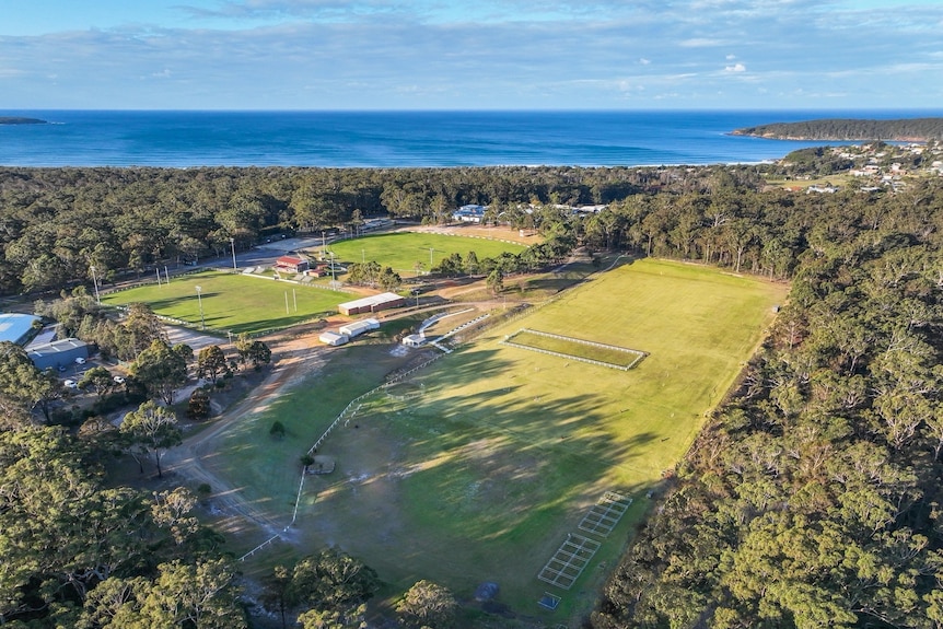 A drone image of a sporting field surrounded by trees, with ocean visible in the background