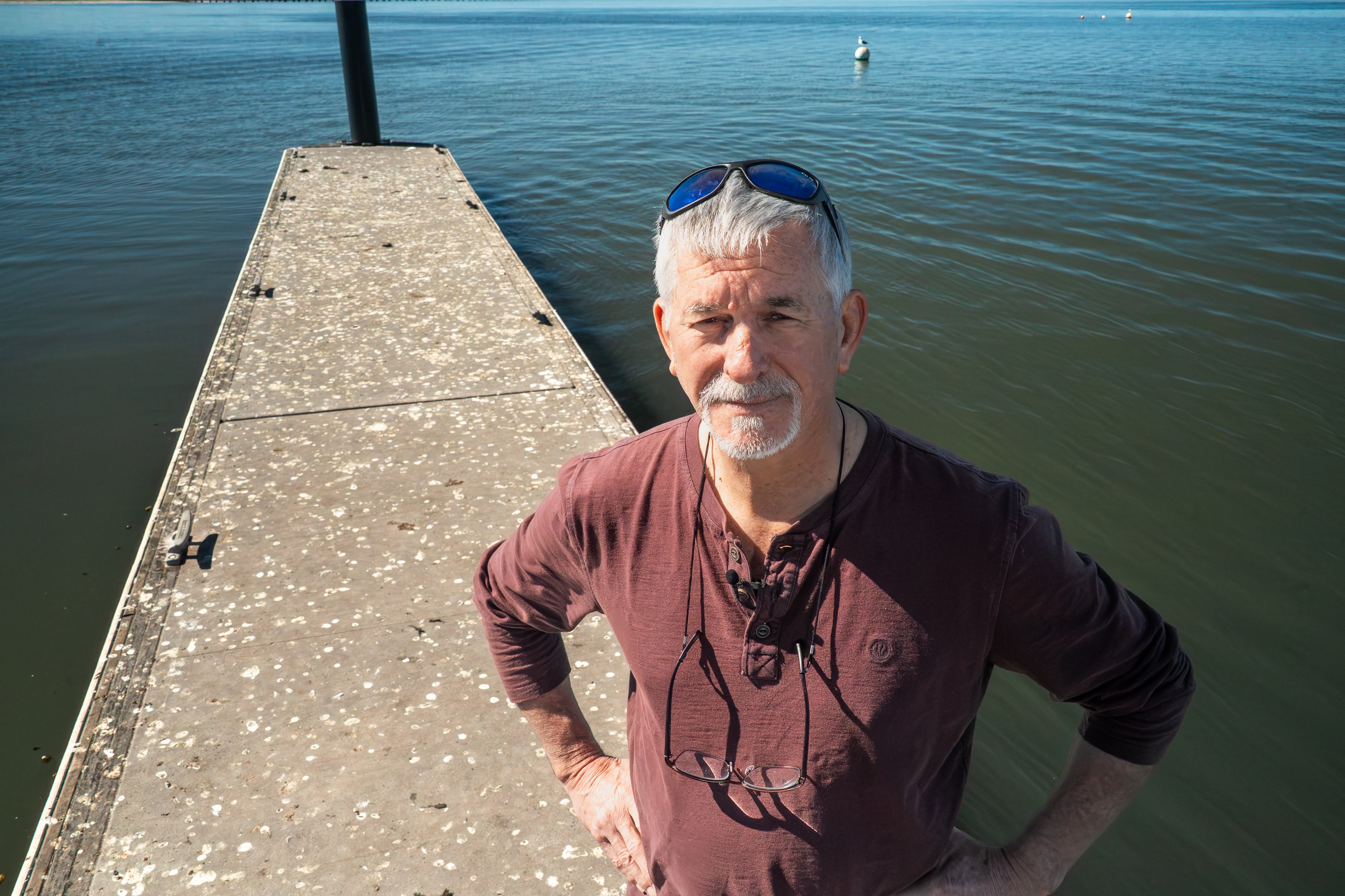 Bird poo concerns in SA town grappling with avian flu
