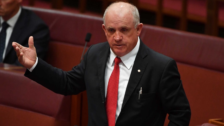 Nationals Senator John Williams during Question Time in the Senate chamber at Parliament House in Canberra.