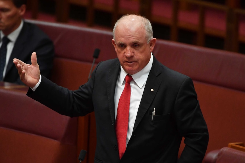 Nationals Senator John Williams during Question Time in the Senate chamber at Parliament House in Canberra.