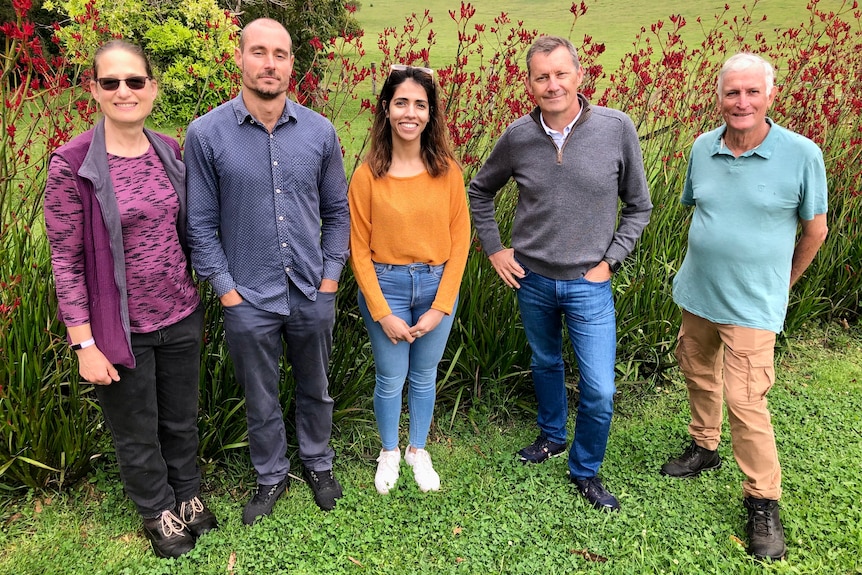 A group of people standing in front of kangaroo paw flower plants