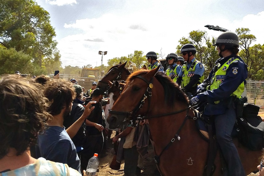 Police horses and the public face to face