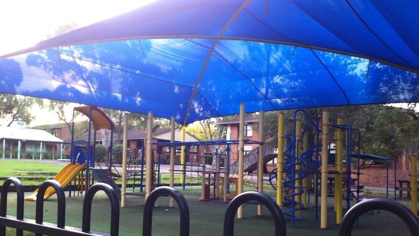 Play equipment in the playground of Haberfield Public School.