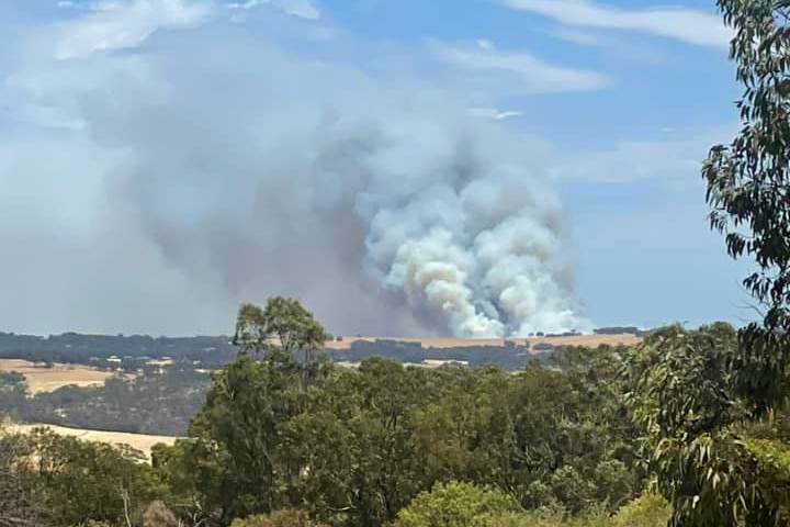 Massive smoke plumes billow from a bushfire burning across bushland