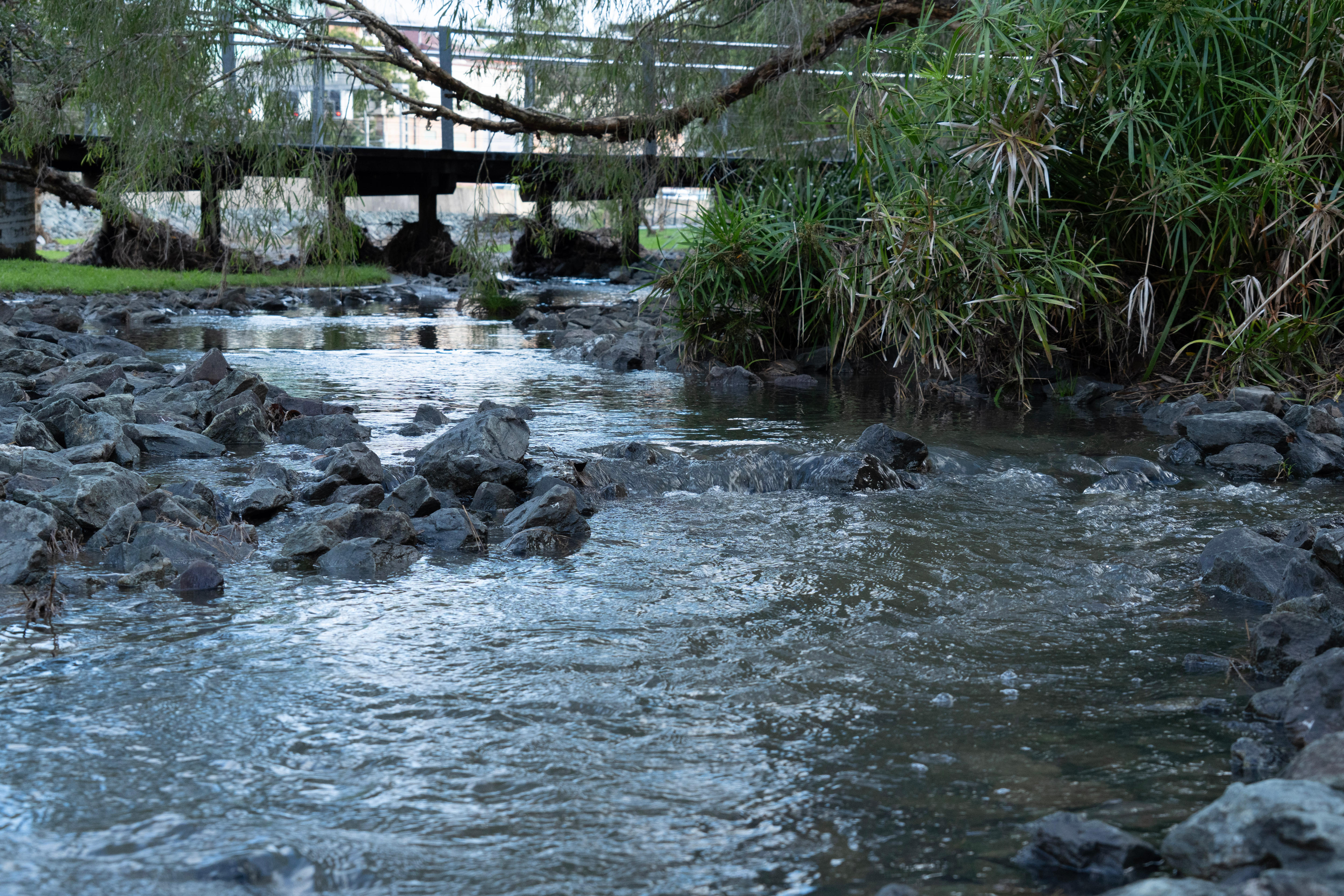 A creek through a park with a foot bridge in the background.