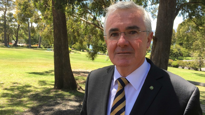 Andrew Wilkie stands in a park