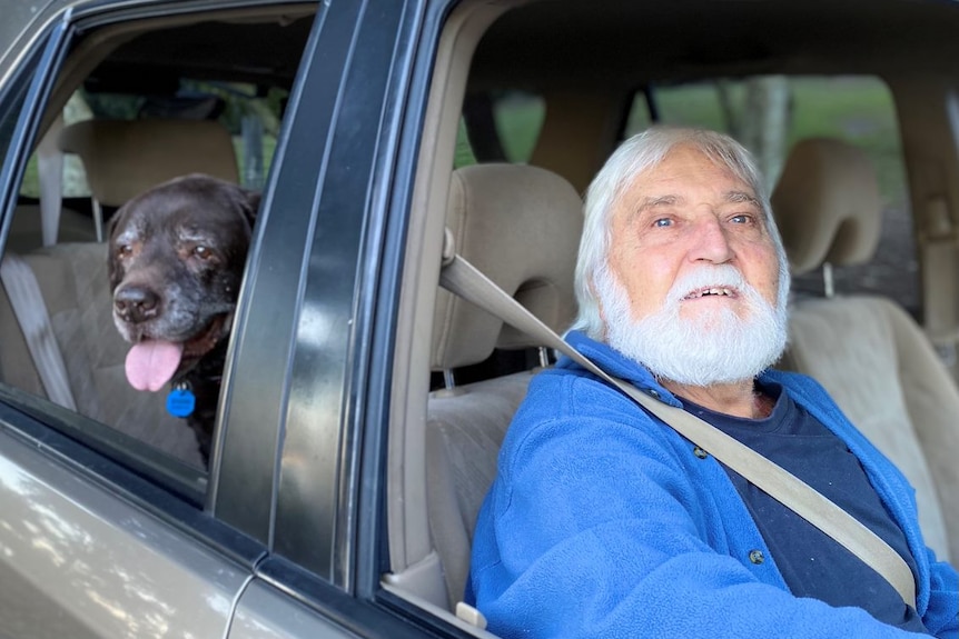 A man sits in the front seat of a car and a dog sits in the back