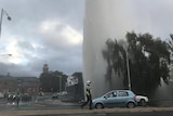 Water shoots high into the air from a burst water main.