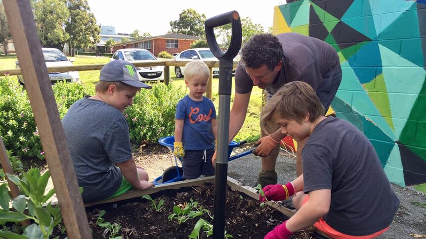 Three young boys and their father in the Taree Community Garden planting herbs.