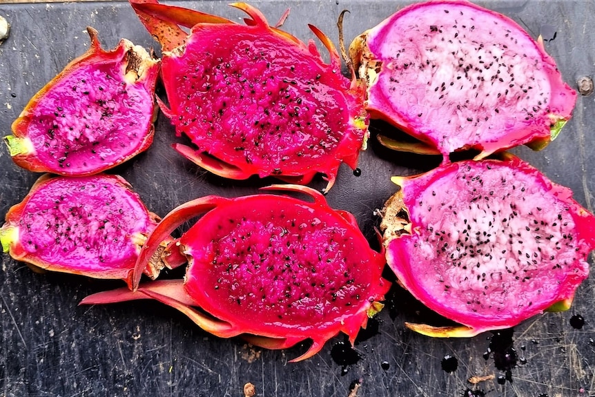 Three dragon fruit split in half on a table. They're bright colours purple, red and pink with dozens of small black seeds 
