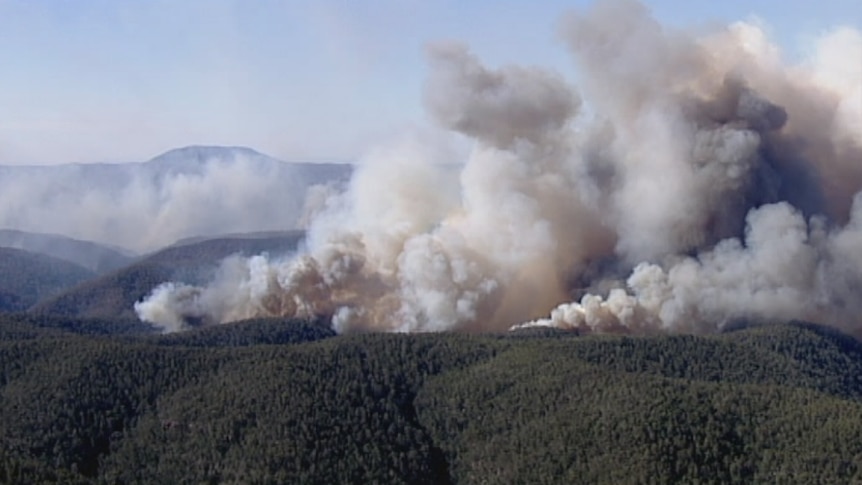 Smoke billows from forest